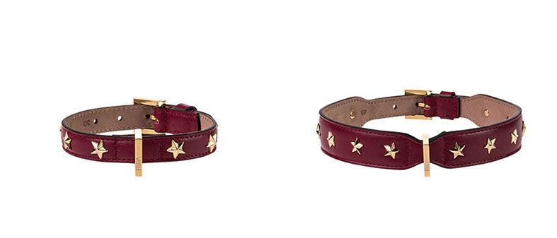 Stud Star Collar - Rocky & Maggie's Pet Boutique and Salon
