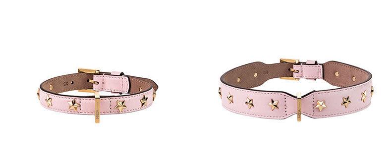 Stud Star Collar - Rocky & Maggie's Pet Boutique and Salon