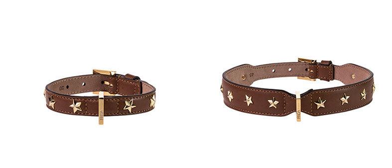 Stud Star Collar - Rocky & Maggie's Pet Boutique and Salon