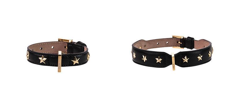 Stud Star Collar - Rocky & Maggie's Pet Boutique and Salon
