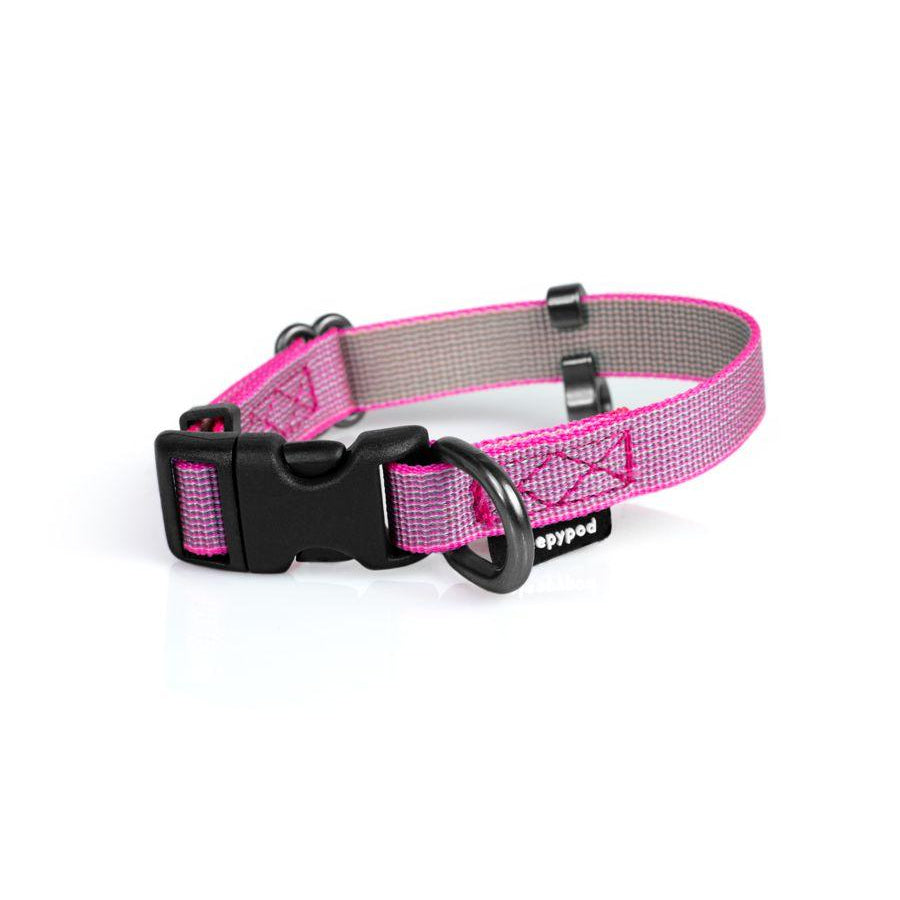 Everyday Collar - Rocky & Maggie's Pet Boutique and Salon