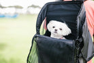 3 Way Backpack Carrier - Rocky & Maggie's Pet Boutique and Salon