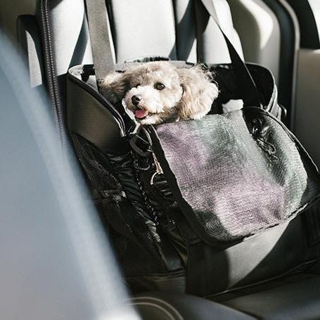 3 Way Backpack Carrier - Rocky & Maggie's Pet Boutique and Salon