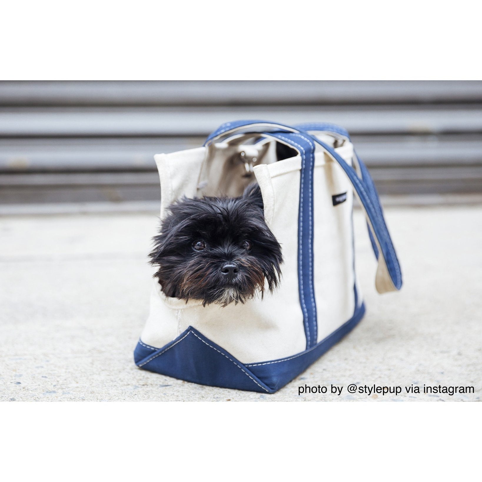 Boat Canvas Carrier - Various Colors - Rocky & Maggie's Pet Boutique and Salon