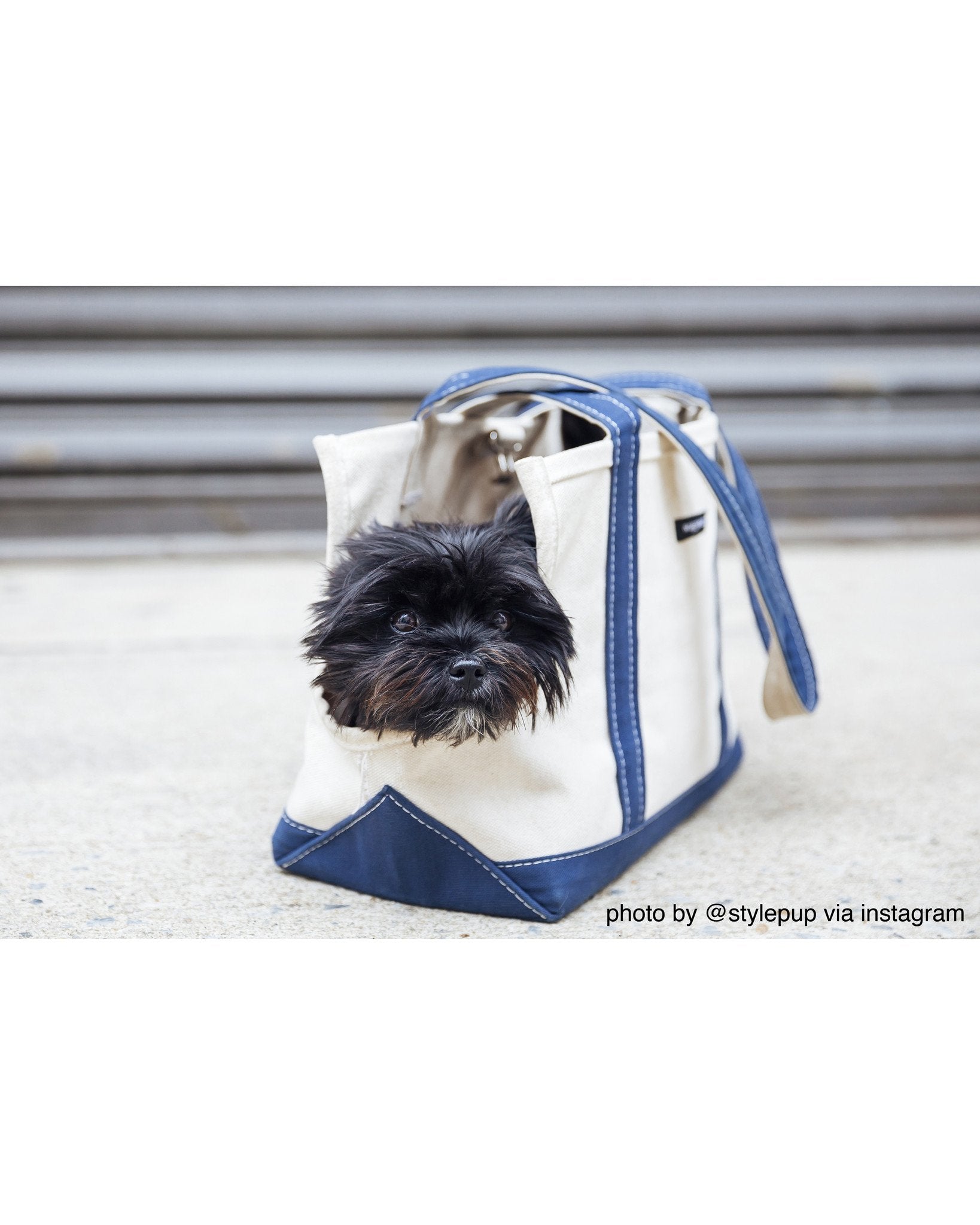 Boat Canvas Carrier - Various Colors - Rocky & Maggie's Pet Boutique and Salon