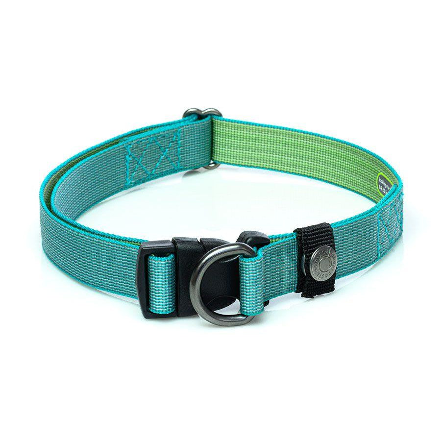 Locking Martingale Collar - Rocky & Maggie's Pet Boutique and Salon