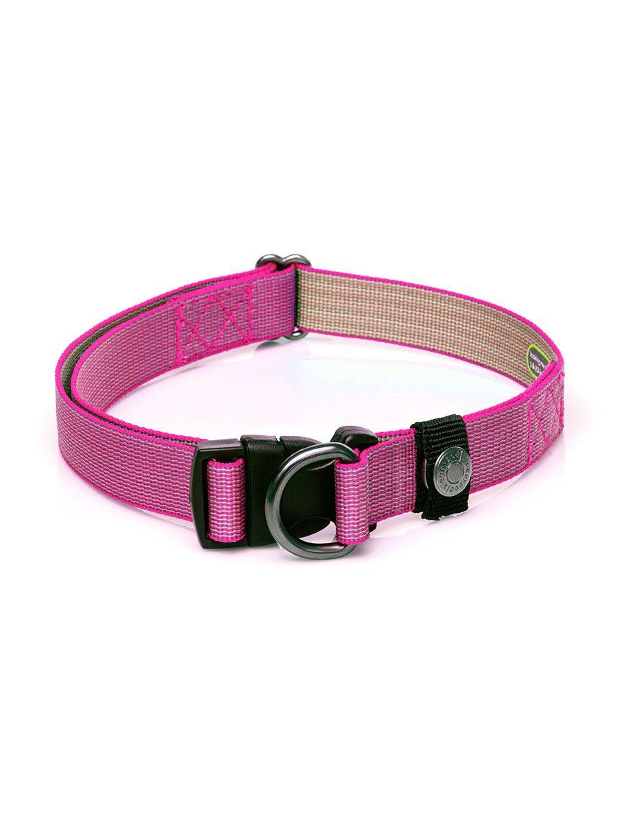 Locking Martingale Collar - Rocky & Maggie's Pet Boutique and Salon