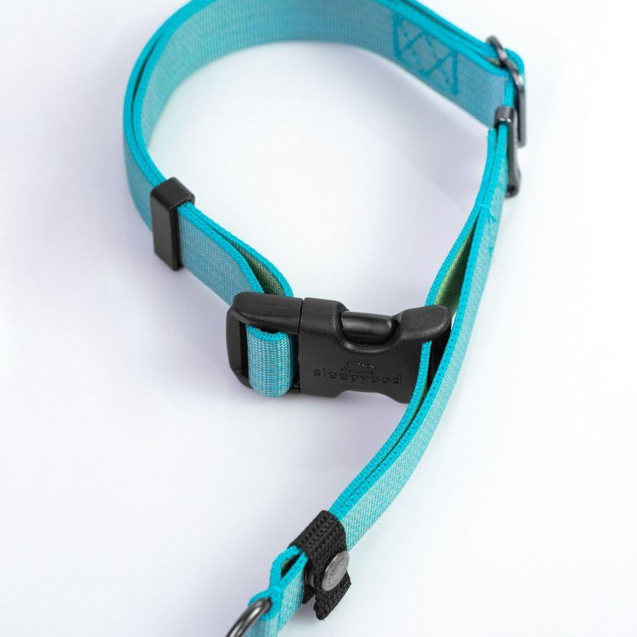 Locking Martingale Collar - Rocky & Maggie's Pet Boutique and Salon