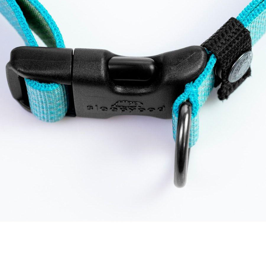 Locking Martingale Collar - Rocky & Maggie's Pet Boutique and Salon