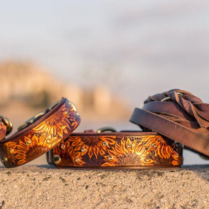 Sunflowers Leather Collar - Rocky & Maggie's Pet Boutique and Salon