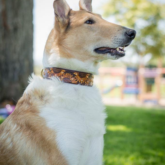 Sunflowers Leather Collar - Rocky & Maggie's Pet Boutique and Salon