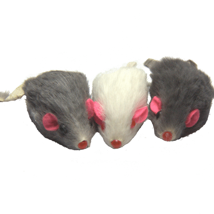 DR. PUSSUMS' MISCHIEF OF MARINATED MICE - Rocky & Maggie's Pet Boutique and Salon