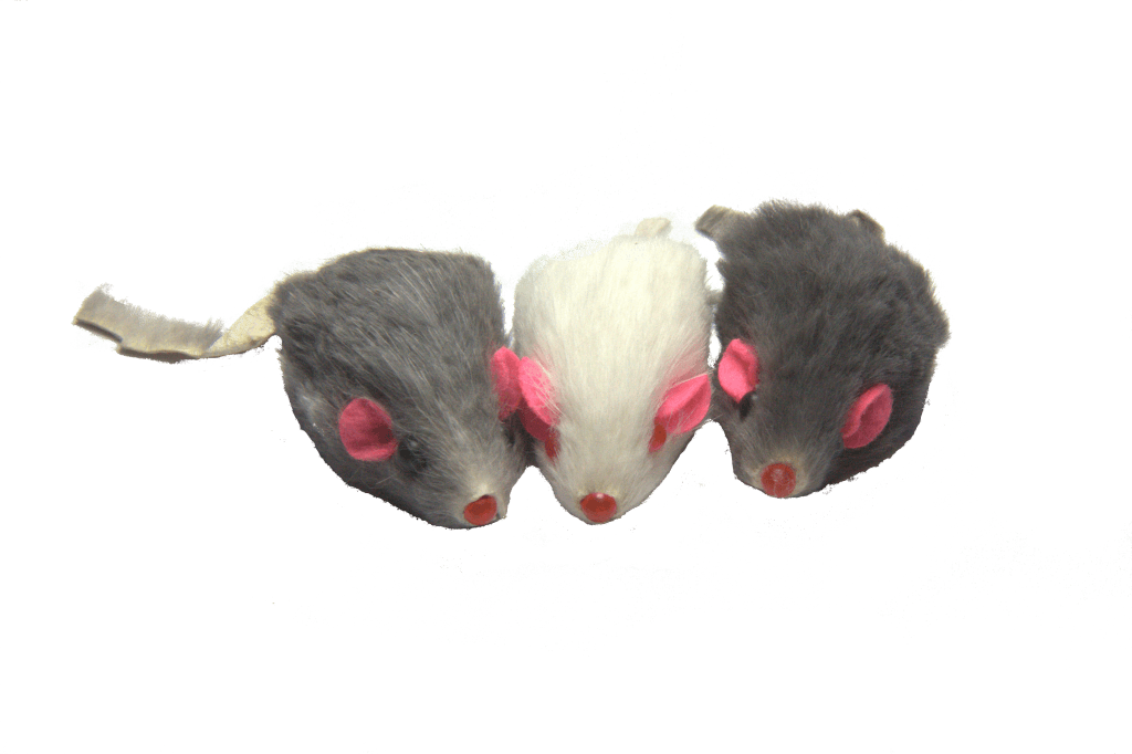 DR. PUSSUMS' MISCHIEF OF MARINATED MICE - Rocky & Maggie's Pet Boutique and Salon