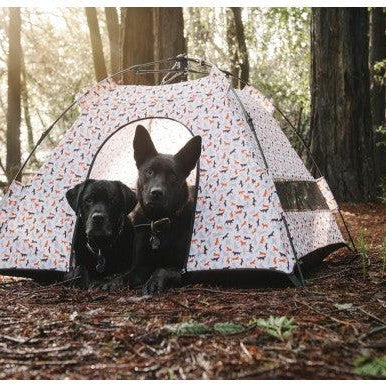 Scout & About Outdoor Tent - Rocky & Maggie's Pet Boutique and Salon