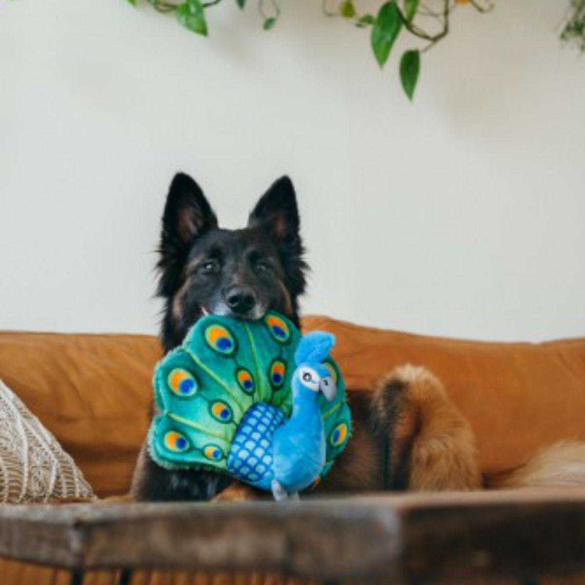 Fetching Flock Plush Toys - Rocky & Maggie's Pet Boutique and Salon