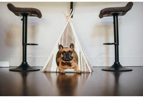 Horizon Pet Teepee - Rocky & Maggie's Pet Boutique and Salon
