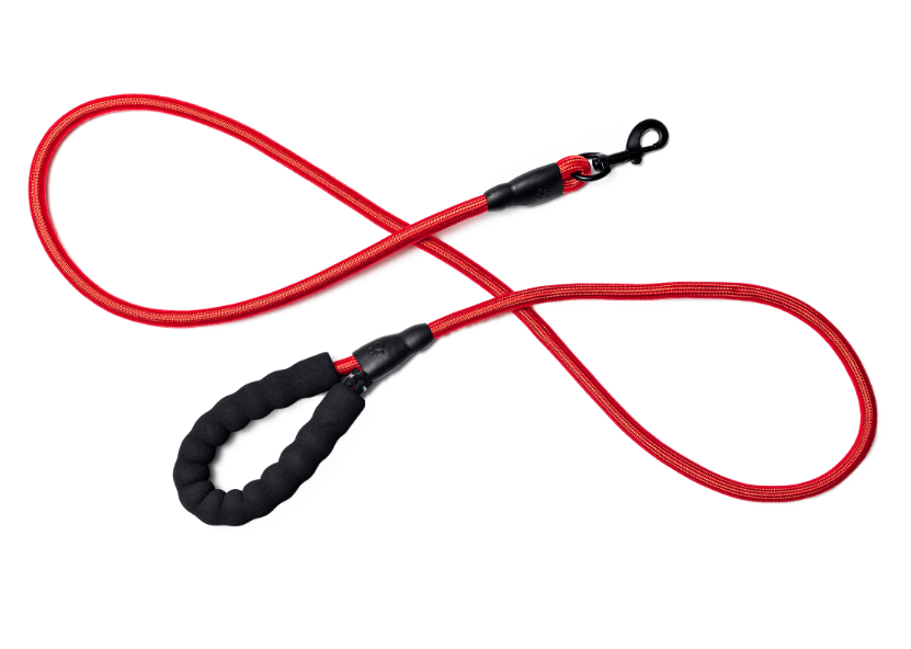 Rope Leash - Rocky & Maggie's Pet Boutique and Salon