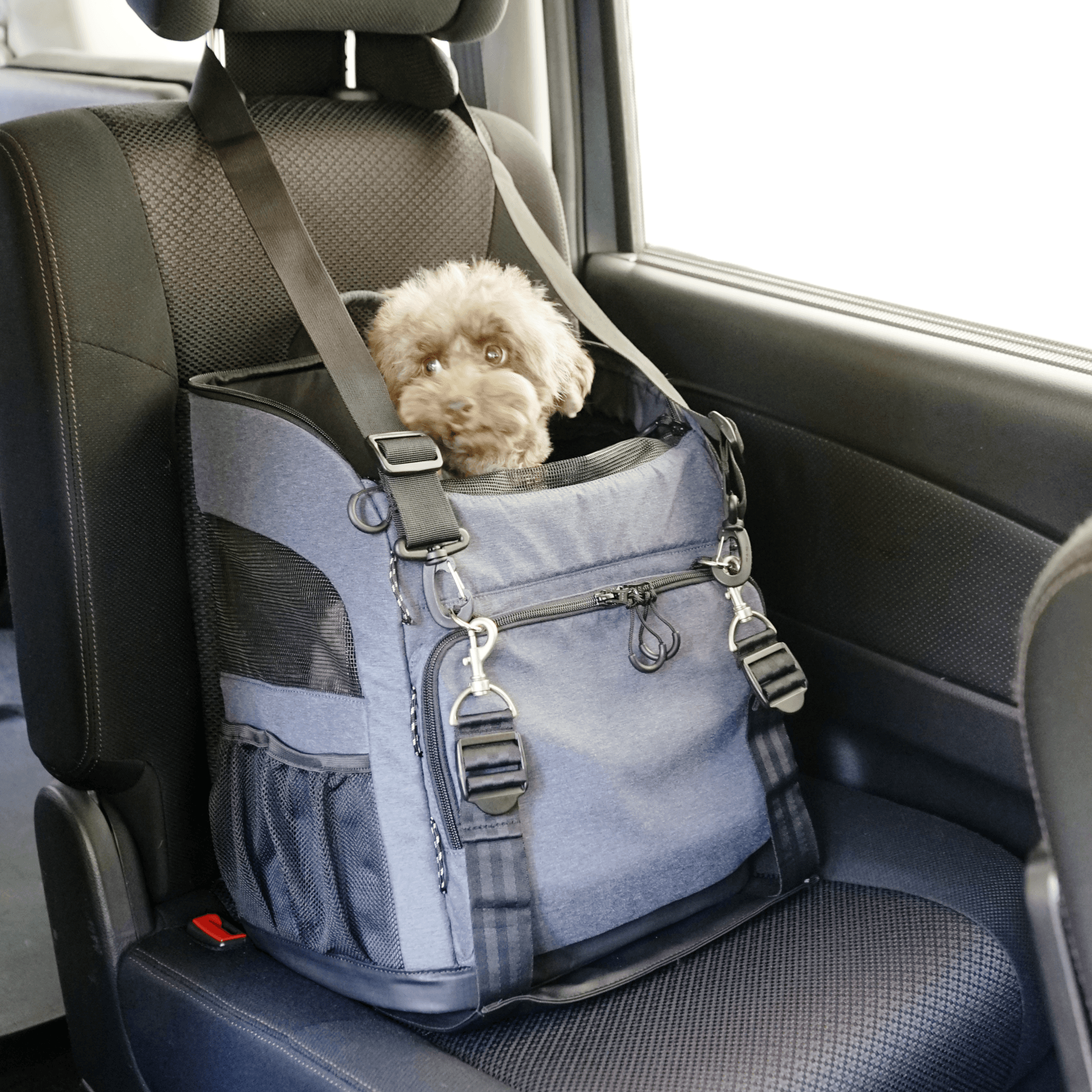 Isofix Belt - Rocky & Maggie's Pet Boutique and Salon
