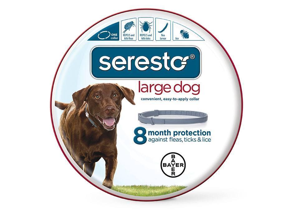 Seresto® Flea and Tick Collar for Dogs - Rocky & Maggie's Pet Boutique and Salon