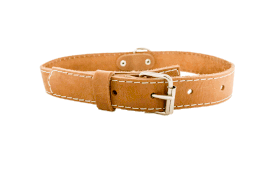Euro Dog Traditional Buckle Collar Med - Rocky & Maggie's Pet Boutique and Salon