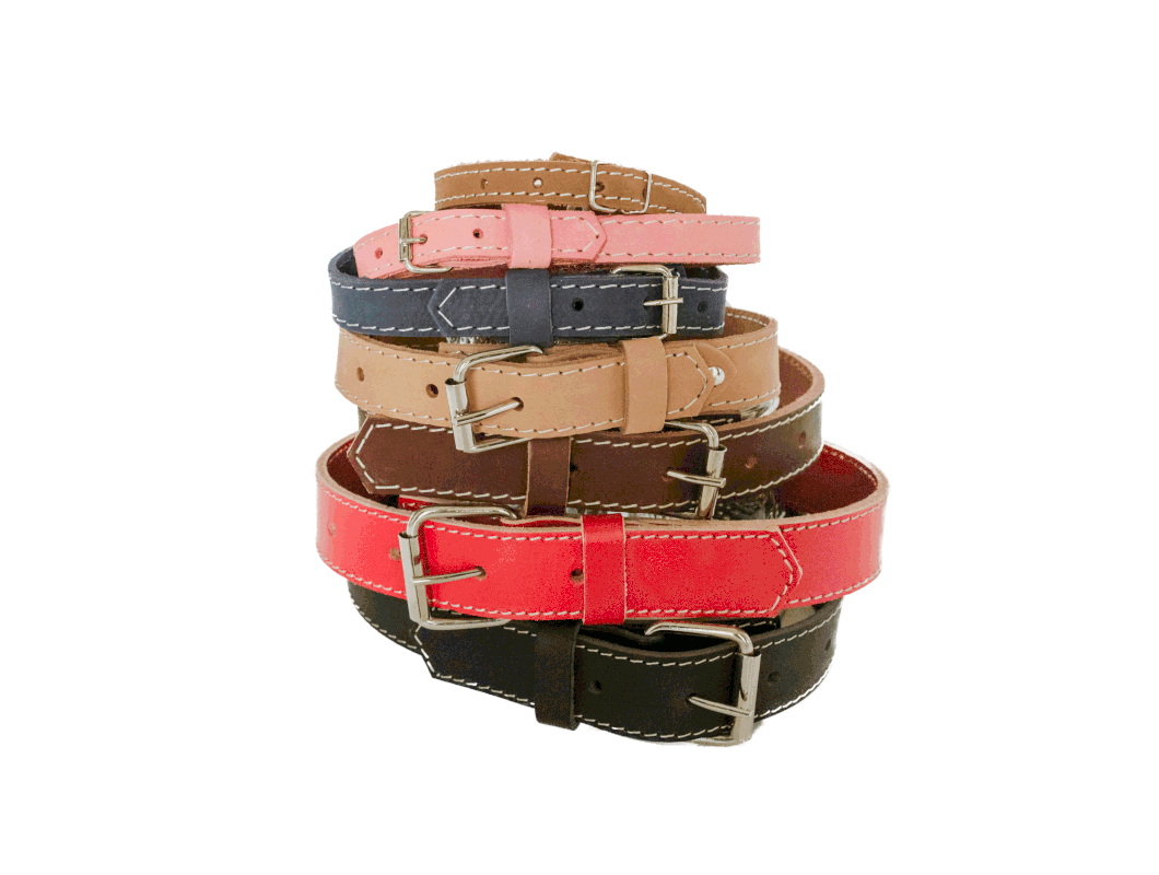 Euro Dog Traditional Buckle Collar Med - Rocky & Maggie's Pet Boutique and Salon