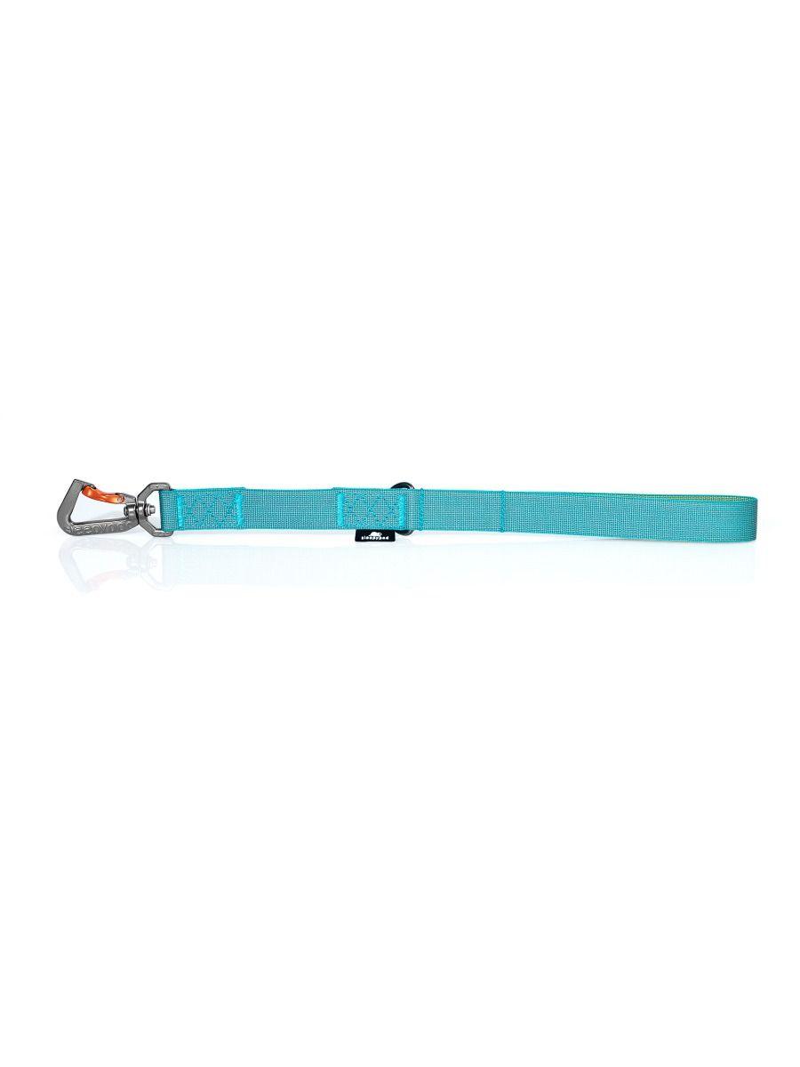 Traffic Leash - Rocky & Maggie's Pet Boutique and Salon