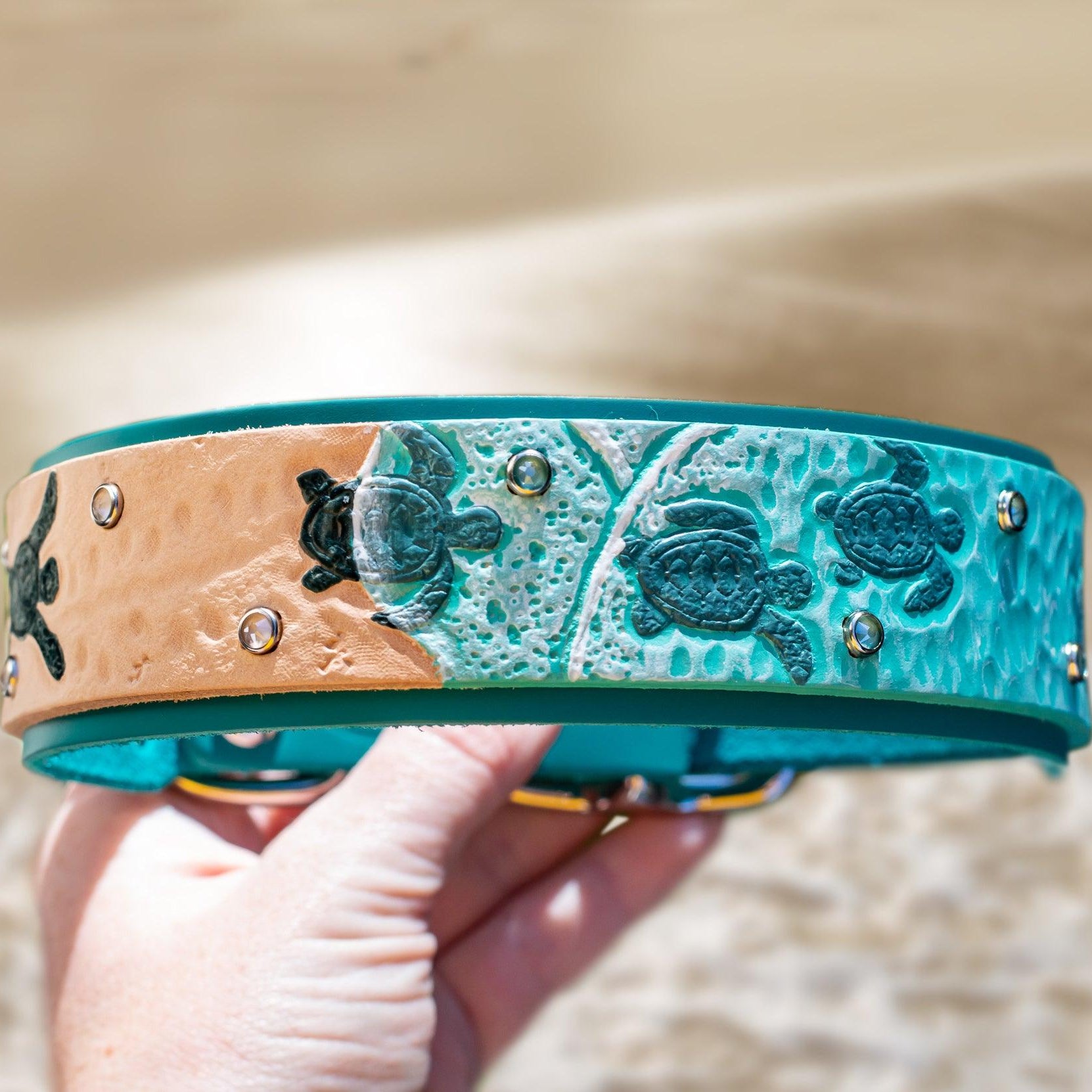Baby Sea Turtles Leather Collar - Rocky & Maggie's Pet Boutique and Salon