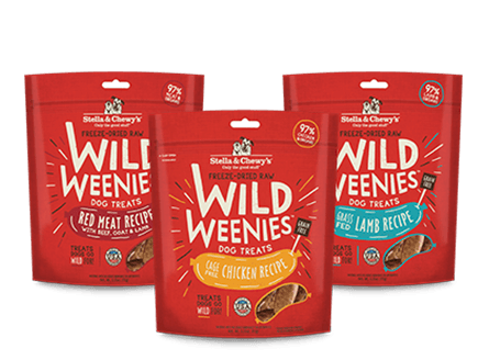 Chewy's boutique clearance