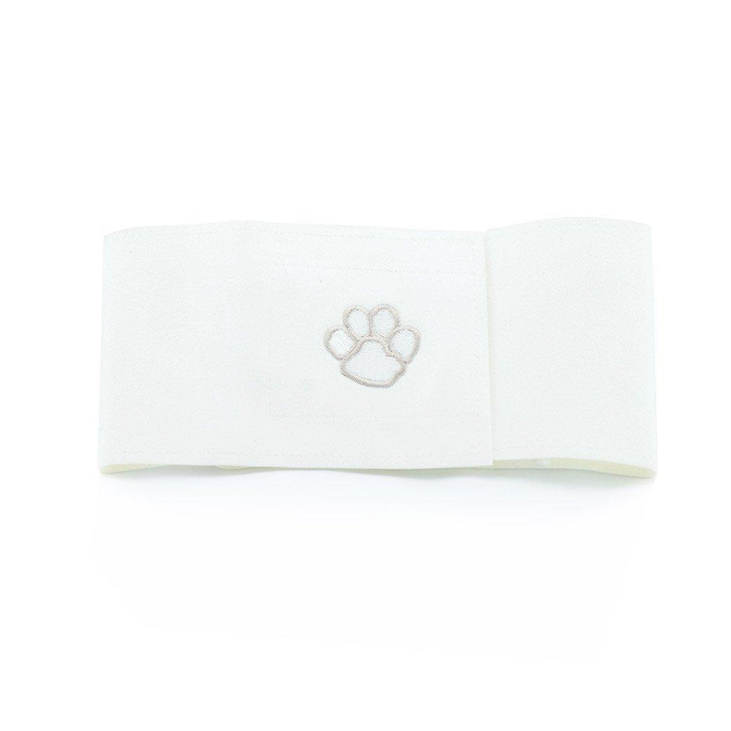 Paws White Wizzer - Rocky & Maggie's Pet Boutique and Salon