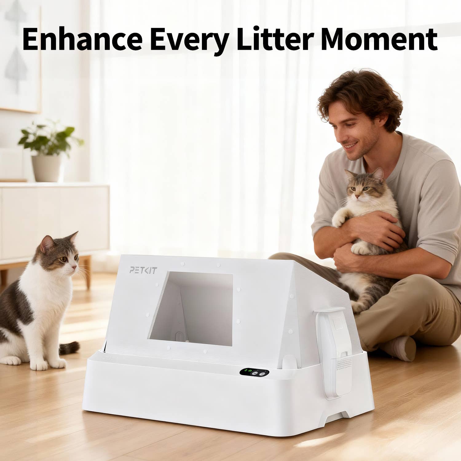 Cat Litter & Accessories