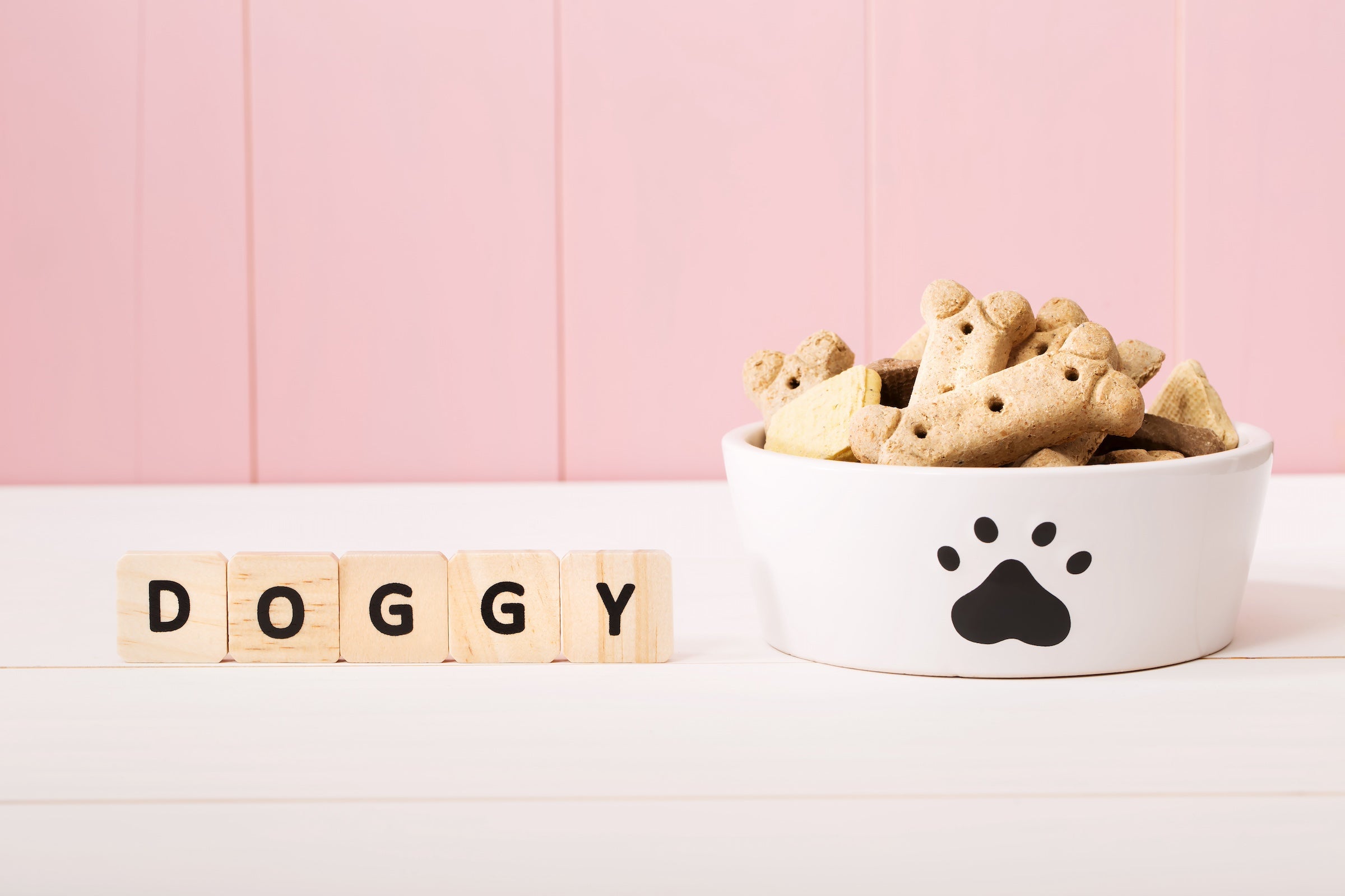 Biscuit Dog Treats