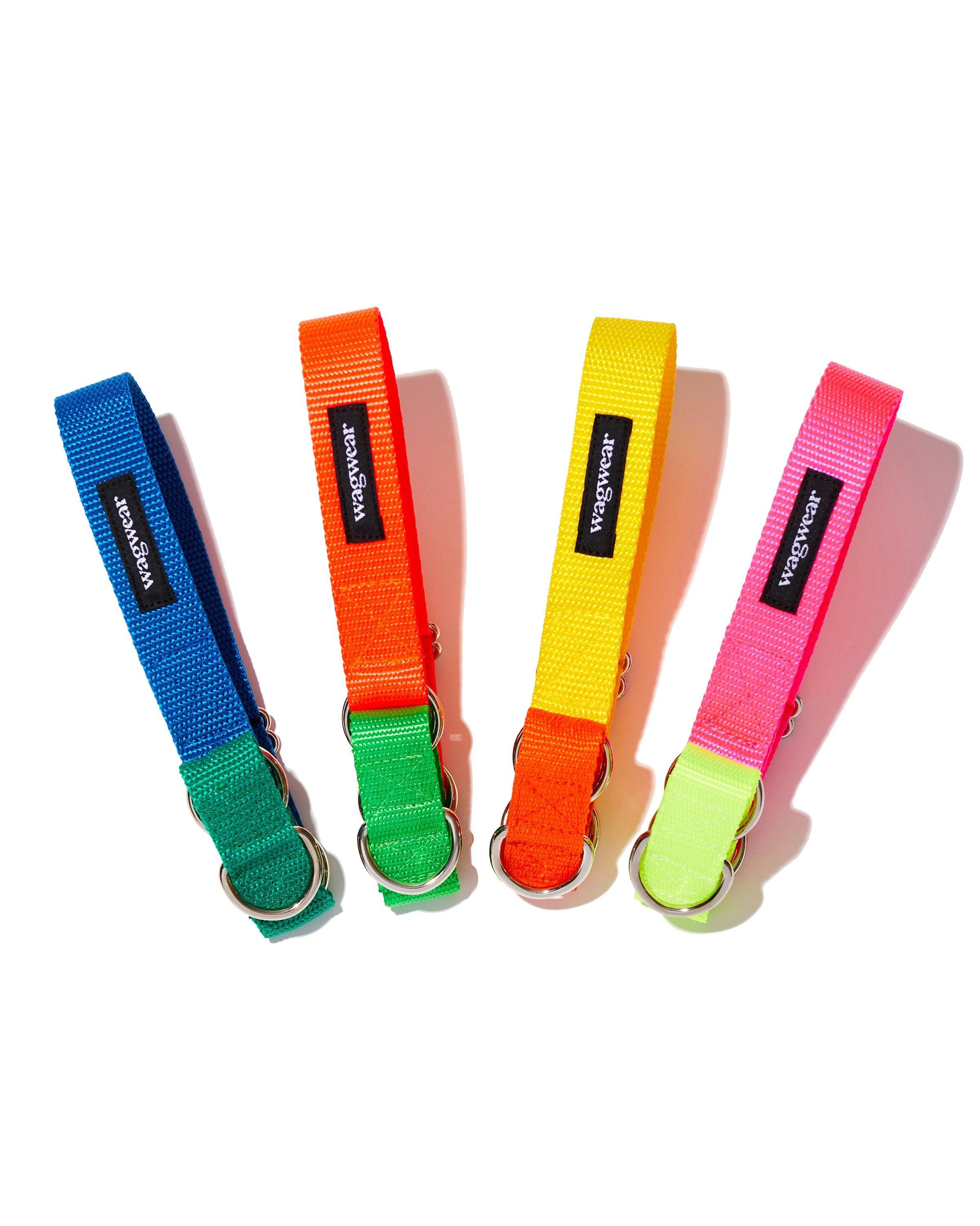 Nylon Dog Collars