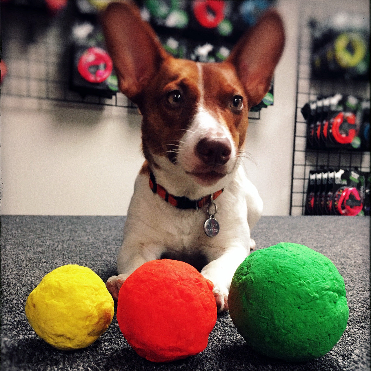 Dog Toys