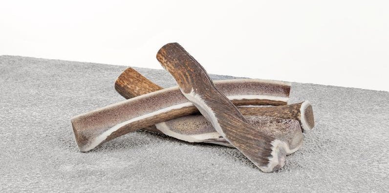 Horns, Antlers & Chew Treats