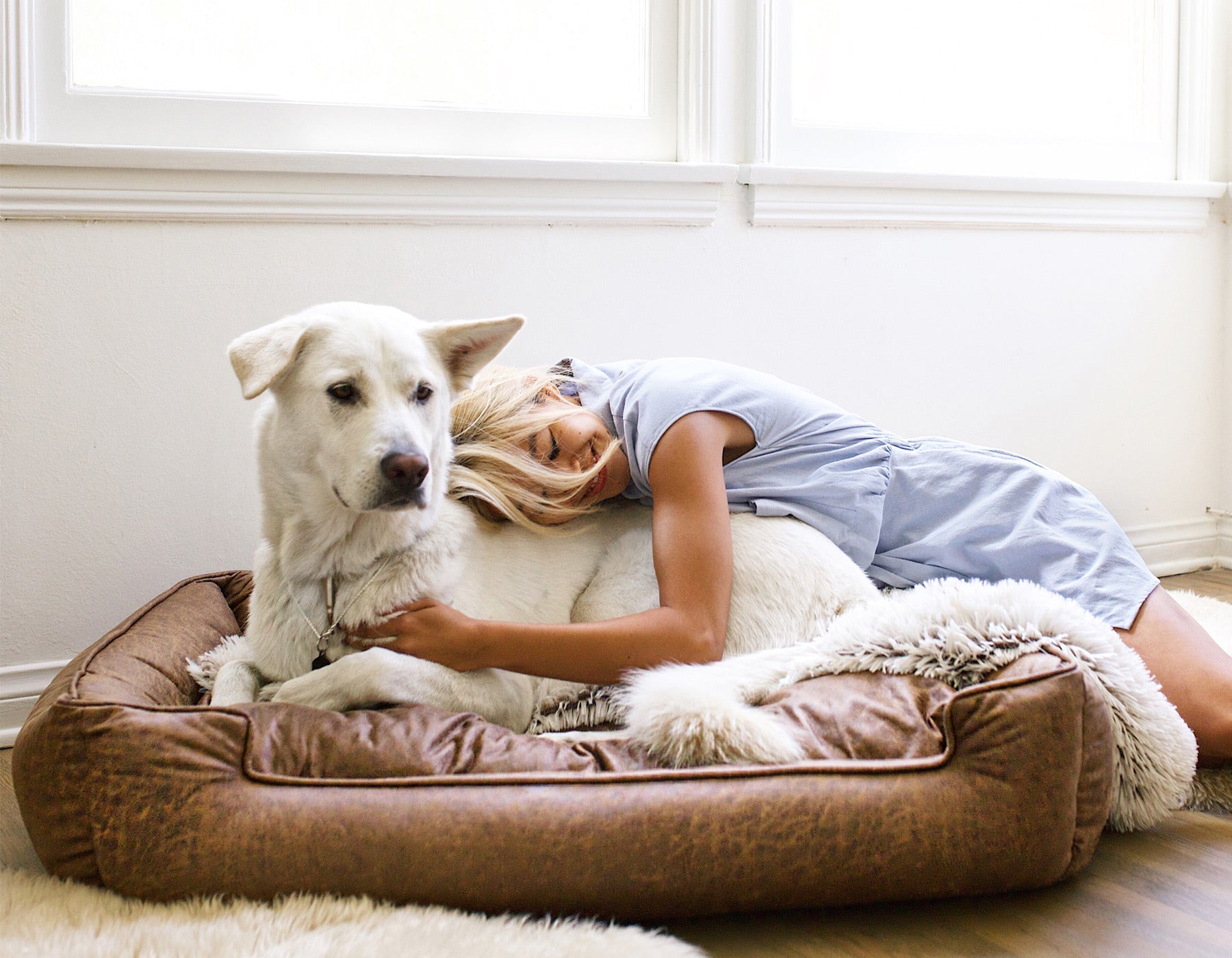 Pet Beds