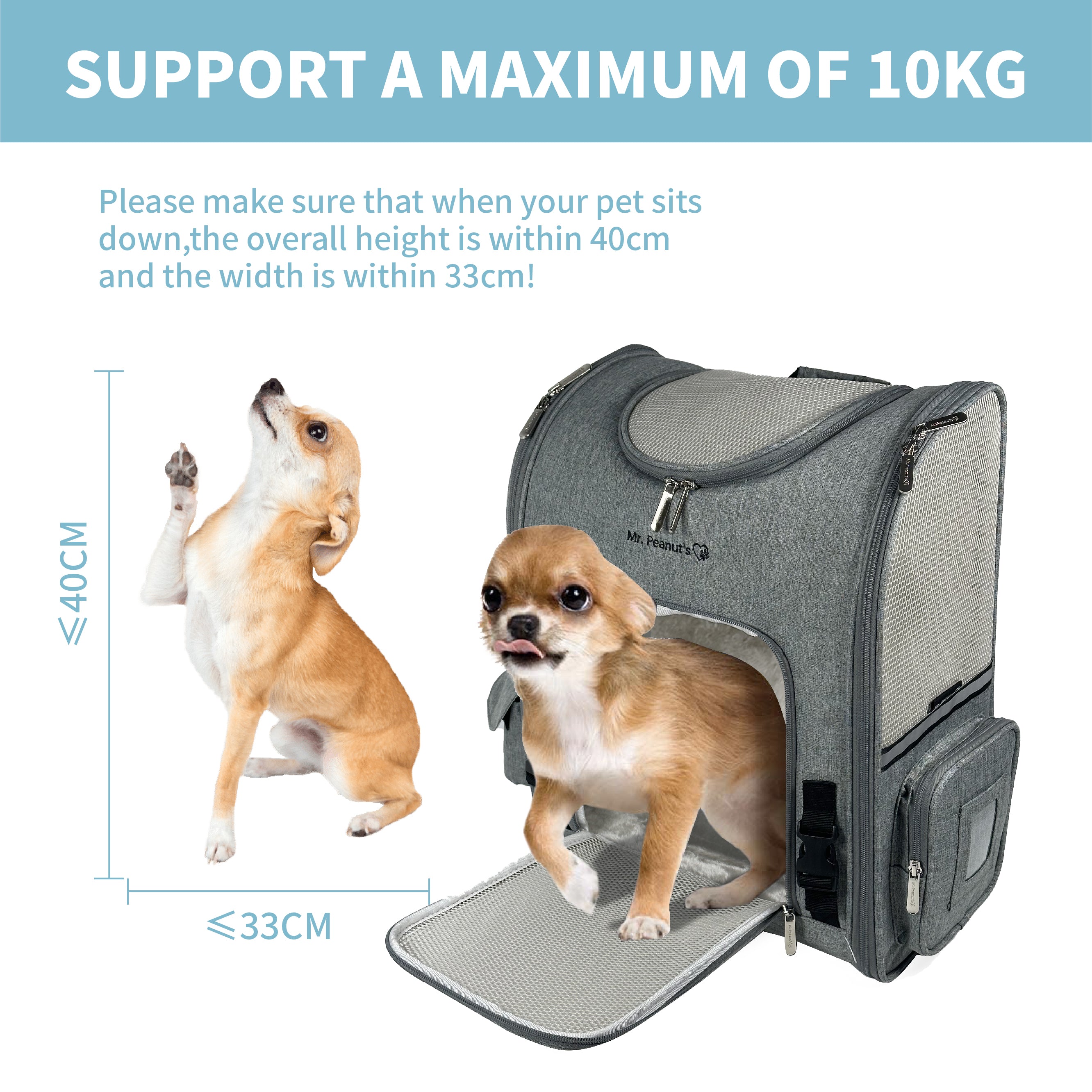 Dog carrier backpack airline approved fashion