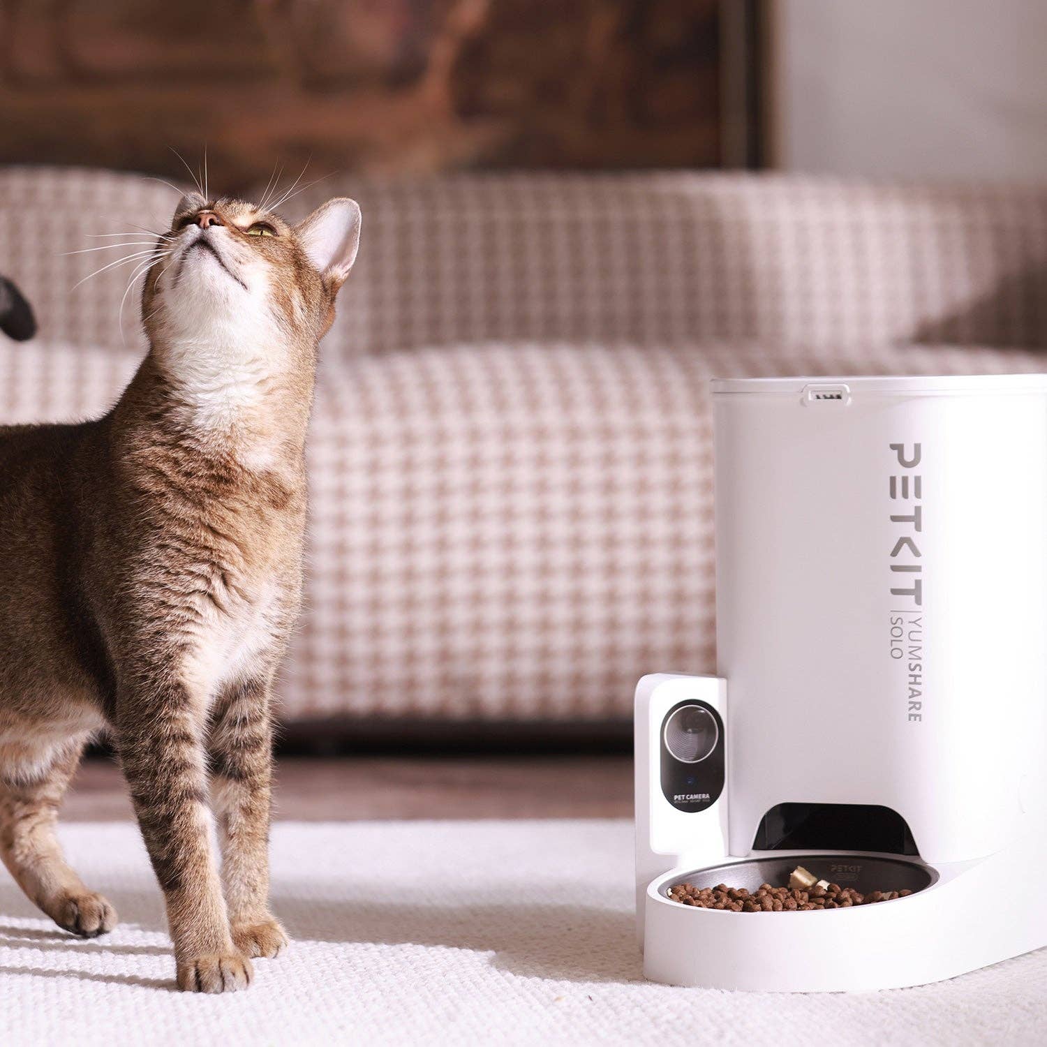 YumShare Solo with Camera – Rocky & Maggie's