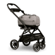 Dupree™ + Roscoe™ Travel System