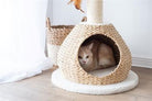 Walk Up Natural Aesthetic, Handwoven, Eco-Friendly, Sustainable Small Cat Tower - Rocky & Maggie's Pet Boutique and Salon