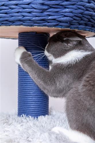 Blue Galaxy Natural Aesthetic, Handwoven, Eco-Friendly Medium Cat Tree - Rocky & Maggie's Pet Boutique and Salon