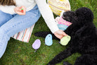 Easter Jelly Beans Dog Toys, Set of 3 - Rocky & Maggie's Pet Boutique and Salon