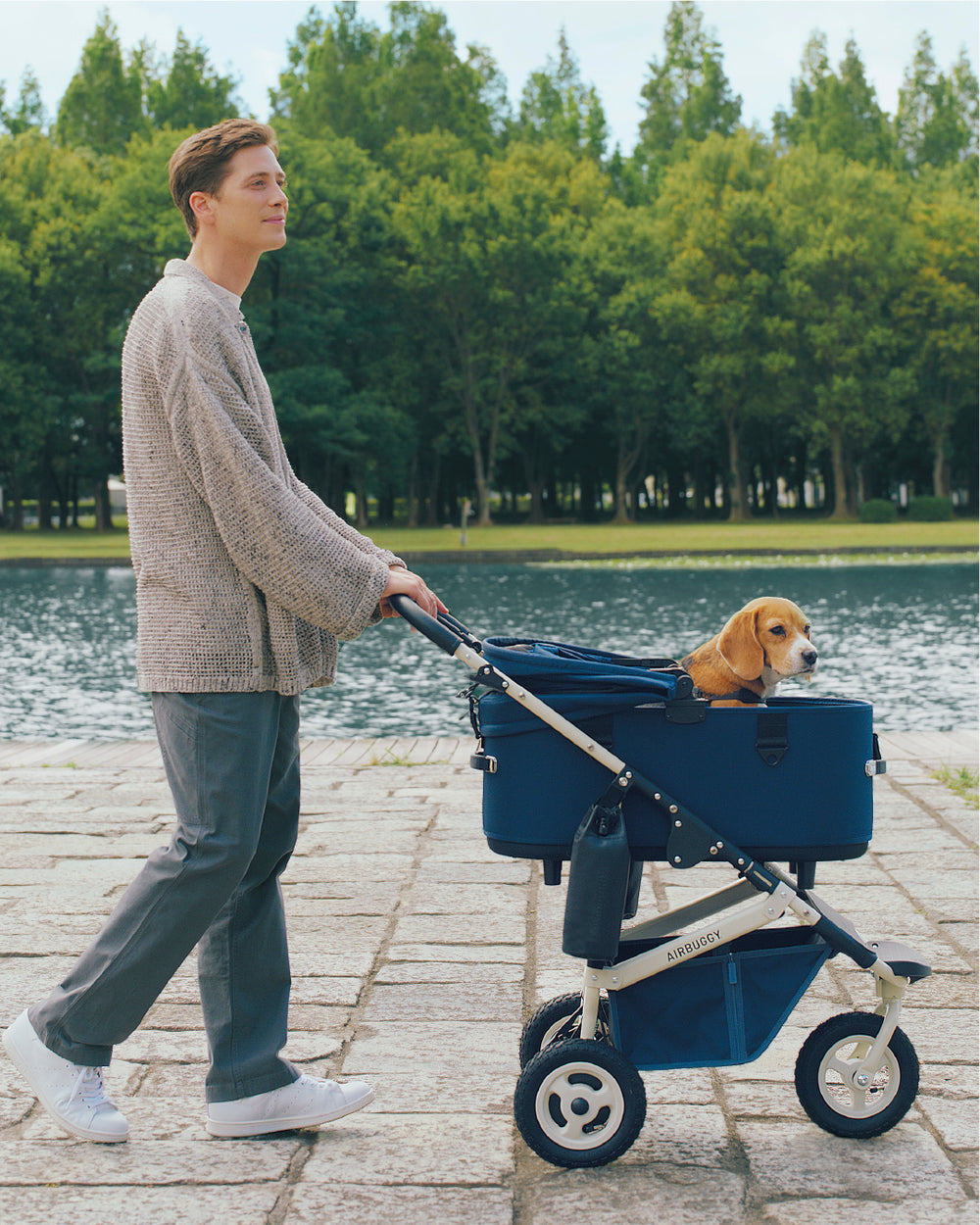 Dome 3 Premier Large Cruise Line Pet Stroller | AirBuggy – Rocky
