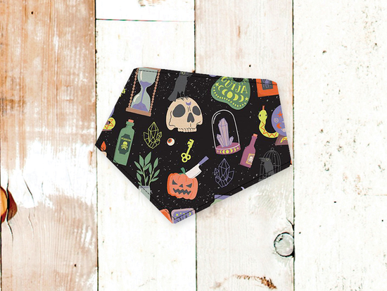 BibbyBubby Mystical Halloween Dog Bandana