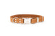 Quick-Release Leather Collar and Leash Set