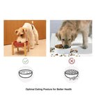 [Wave] Slow Feeder Dog Bowls - M / Beige / Wood Stand - Rocky & Maggie's Pet Boutique and Salon