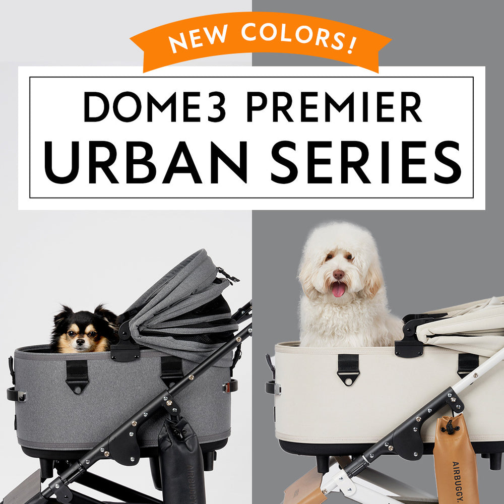 Air Buggy | Dome 3 Premier Large Cruise Line Pet Stroller – Rocky