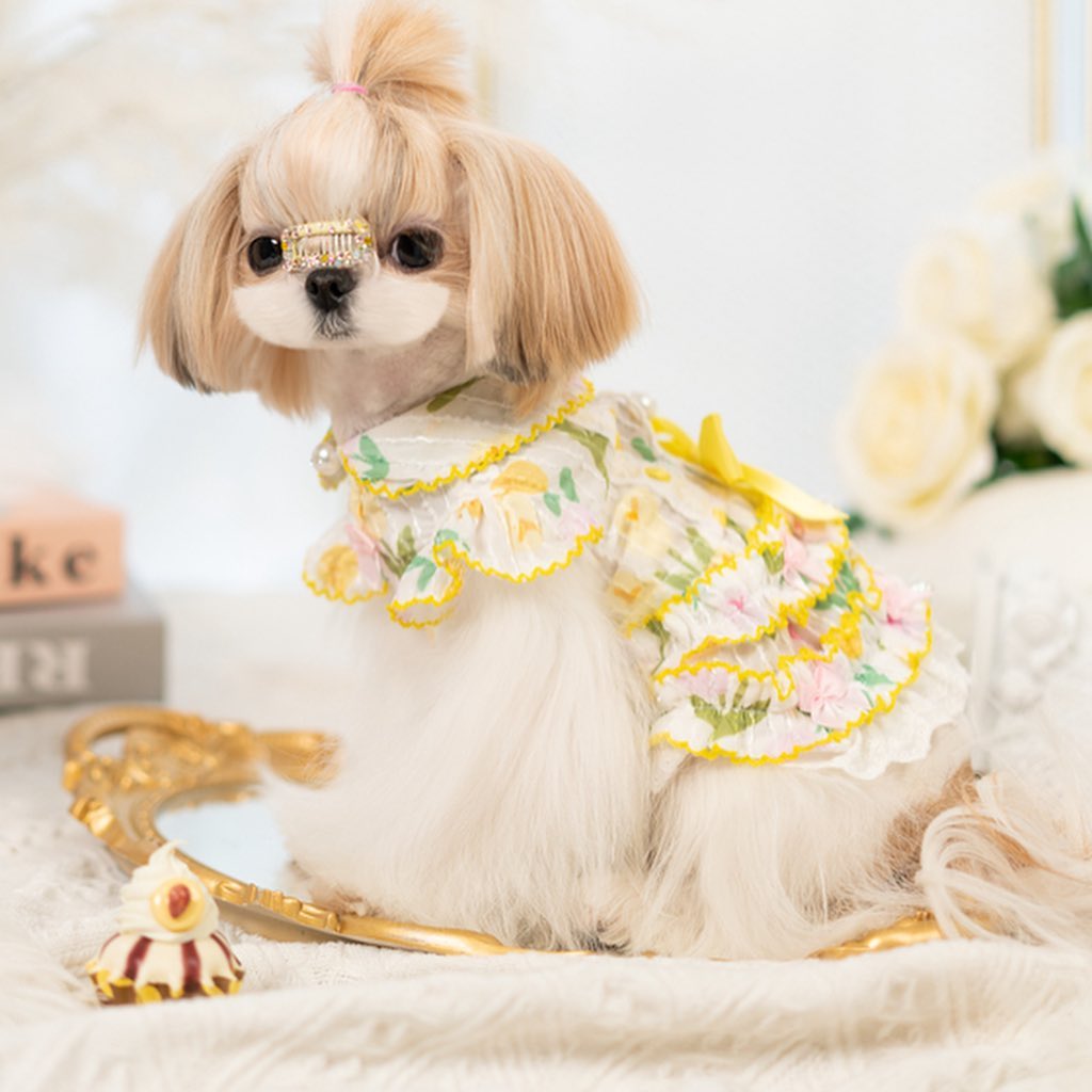 Luxury design dog dress tulip chiffon 2 colors – Rocky & Maggie's