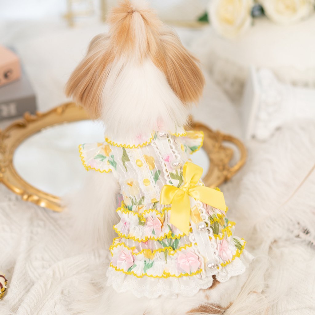 Luxury design dog dress tulip chiffon 2 colors – Rocky & Maggie's