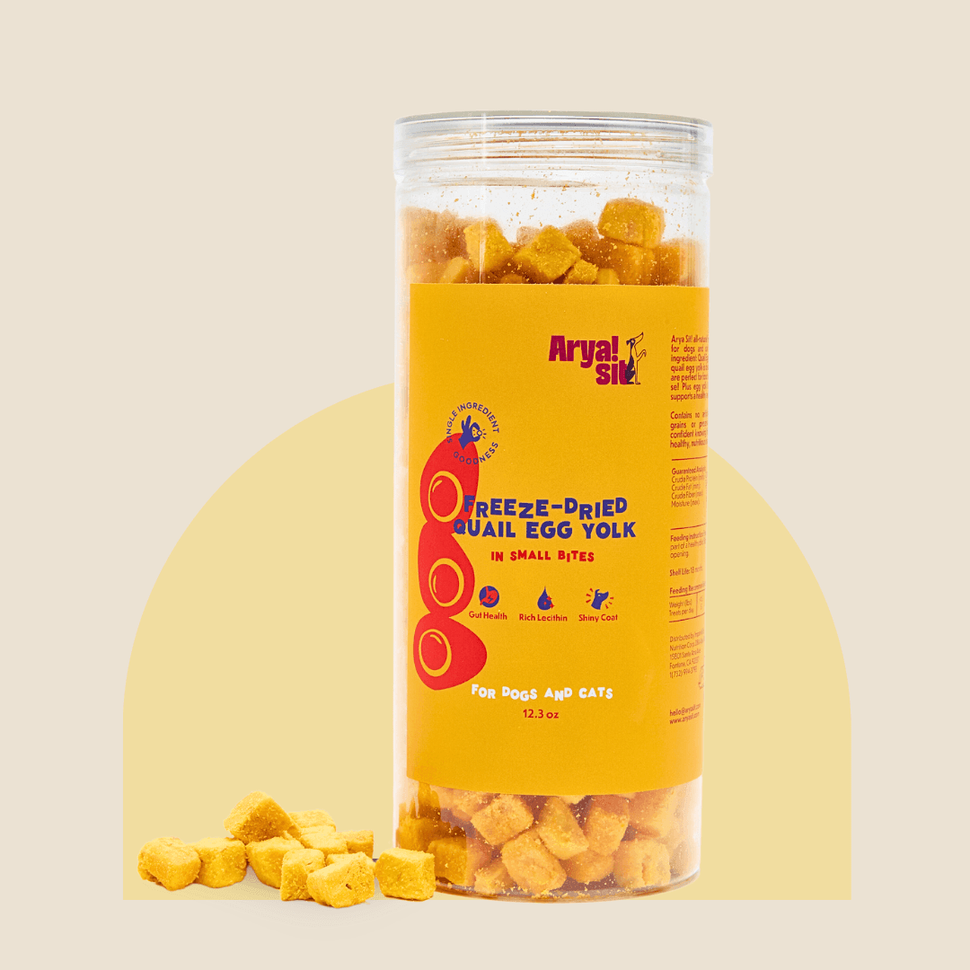 Freeze-Dried Egg Yolk Bites - Rocky & Maggie's Pet Boutique and Salon