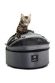 Mobile Pet Bed